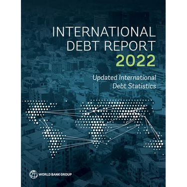 International Debt Report 2022: Updated International Debt Statistics