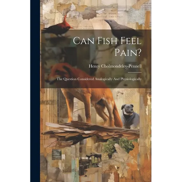 Can Fish Feel Pain?: The Question Considered Analogically And Physiologically