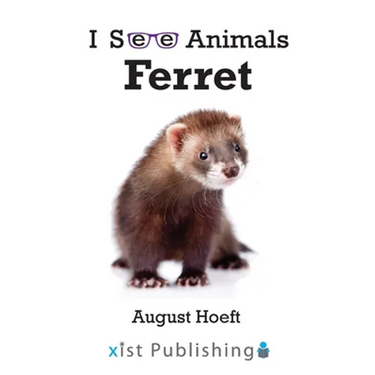 Ferret