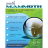 Math Mammoth Grade 2-A Worktext (Canadian Version)