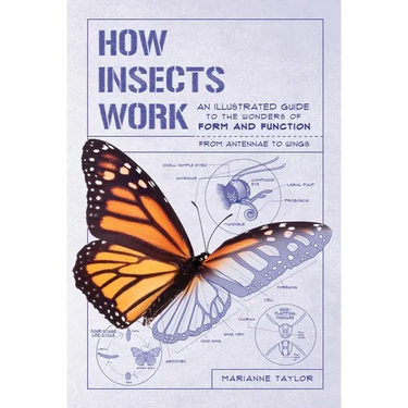 How Insects Work: An Illustrated Guide to the Wonders of Form and Function - From Antennae to Wings