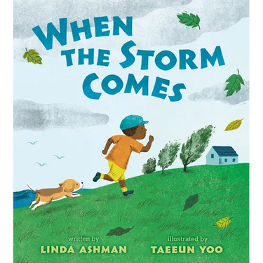 When the Storm Comes