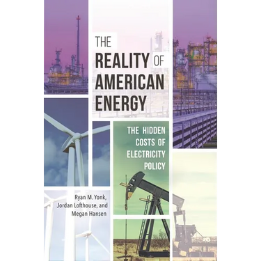 The Reality of American Energy: The Hidden Costs of Electricity Policy