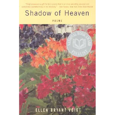 Shadow of Heaven