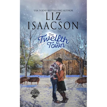 The Twelfth Town: Christian Christmas Romance