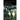 Seasons of Earth and Sky