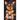 I Won't Forget Passwords To Remember: Hardcover Password Tracker And Information Keeper With Alphabetical Index For Social Media, Website and Online A