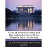 Rates of Photosynthesis and Phytoplankton Growth in Shagawa Lake, Minnesota