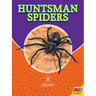 Huntsman Spiders