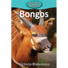 Bongos