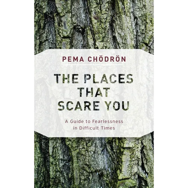 The Places That Scare You: A Guide to Fearlessness in Difficult Times