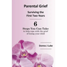 Parental Grief, Surviving the First Two Years: 6 Steps You Can Take to help cope with the grief of losing your child