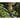Enraptured by Raptors: The story of a hawk family that captured the heart of a community