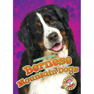 Bernese Mountain Dogs