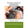 Racing Pigeons Advanced Techniques: Young Birds Training