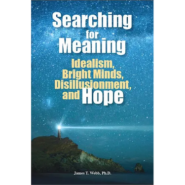 Searching for Meaning: Idealism, Bright Minds, Disillusionment, and Hope