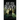 Are You Ready?