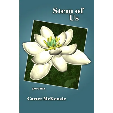 Stem of Us