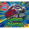 Goliath Beetles