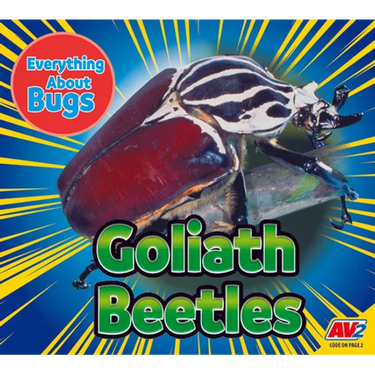 Goliath Beetles