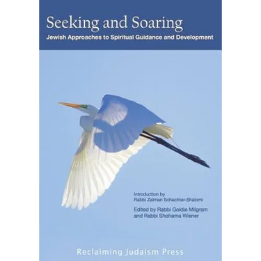 Seeking and Soaring: : Jewish Approaches to Spiritual Guidance and Development