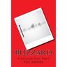 Blizzard: A Sebastian Scott Novel