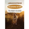 Labrador Retriever Training Guide: Basic Commands, Potty Training, Leash Training, & Socialization: Facts About Labrador Retriever