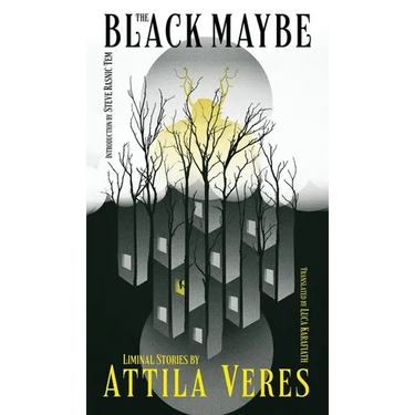 The Black Maybe: Liminal Tales