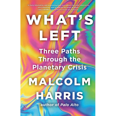 What's Left: Three Paths Through the Planetary Crisis