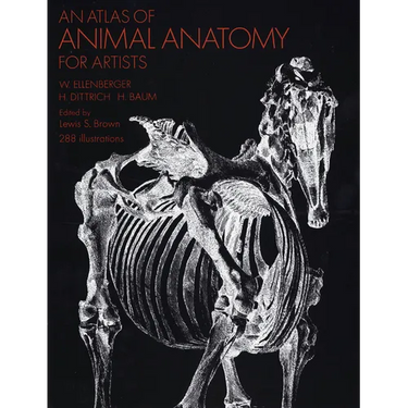 An Atlas of Animal Anatomy for Artists