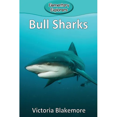 Bull Sharks