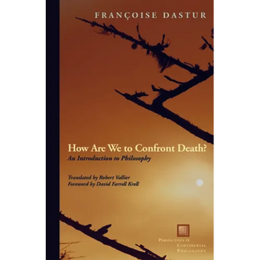 How Are We to Confront Death?: An Introduction to Philosophy