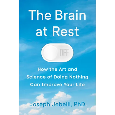The Brain at Rest: How the Art and Science of Doing Nothing Can Improve Your Life