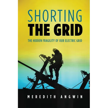 Shorting the Grid: The Hidden Fragility of Our Electric Grid