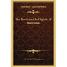 The Devils and Evil Spirits of Babylonia