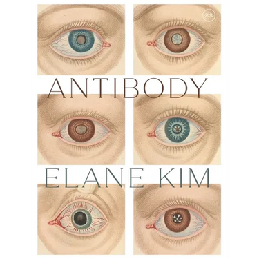 Antibody