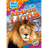 African Lions