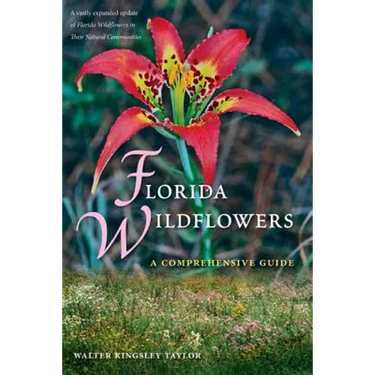 Florida Wildflowers: A Comprehensive Guide