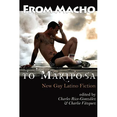 From Macho to Mariposa: New Gay Latino Fiction