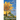 Summer of Sunflowers