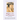 Religion, Law, and Democracy: Selected Writings