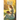 June is Family: Women's Daily Devotional