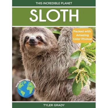 Sloth: Fascinating Animal Facts for Kids