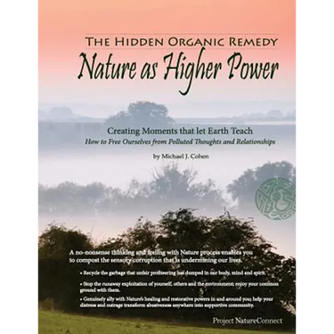 The Hidden Organic Remedy: Nature As Higher Power: Creating Moments That Let Earth Teach