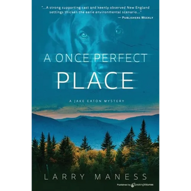 A Once Perfect Place