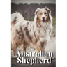 Australian Shepherd: How to train your dog and raise from puppy correctly
