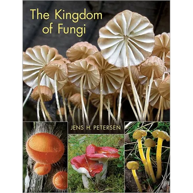 The Kingdom of Fungi