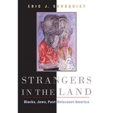 Strangers in the Land: Blacks, Jews, Post-Holocaust America