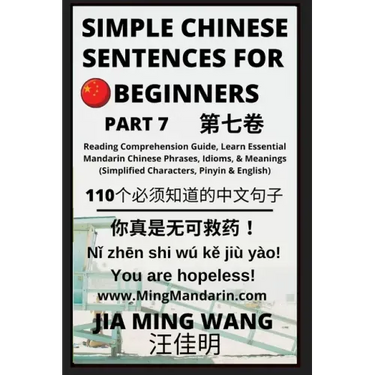 Simple Chinese Sentences for Beginners (Part 7) - Idioms and Phrases for Beginners (HSK All Levels)