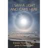 I Saw A Light And Came Here: Children's Experiences of Reincarnation